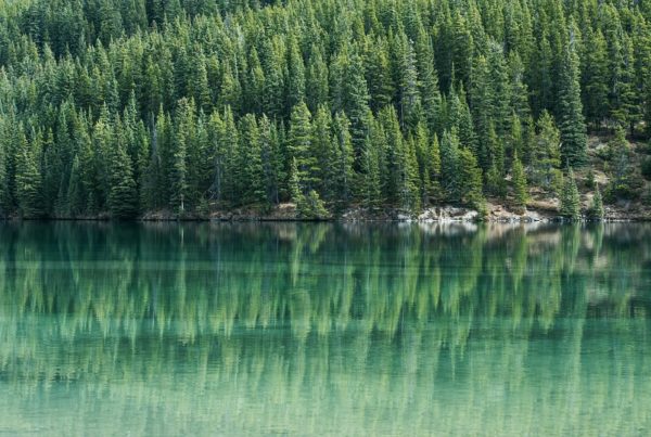What is Evergreen Content & Why Do You Need it on Your Site?