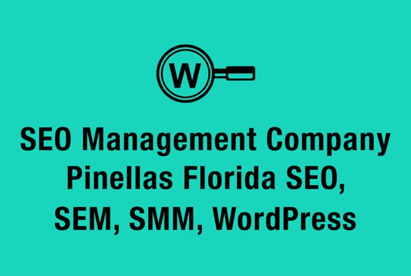 seo management company pinellas