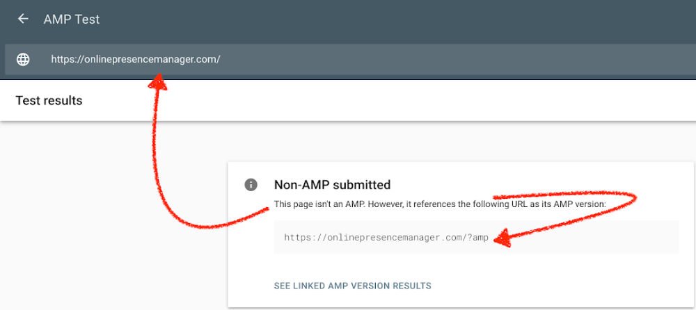 Best AMP Plugin Wordpress