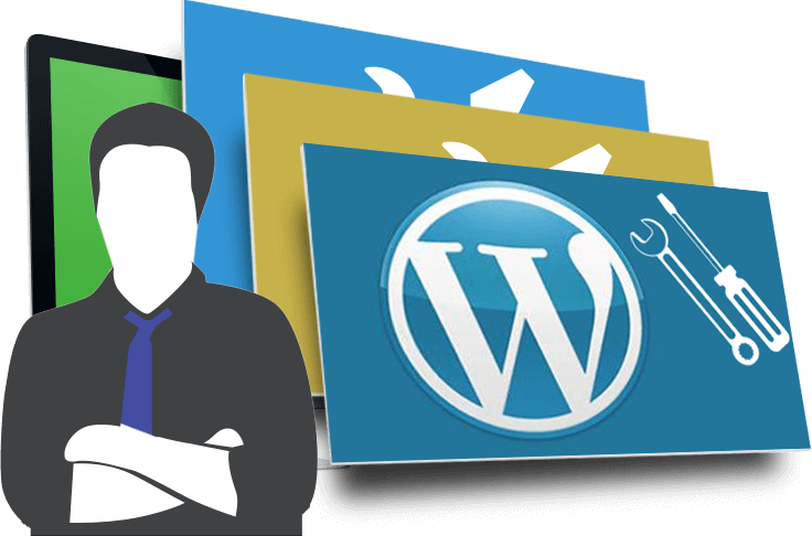 Wordpress developer