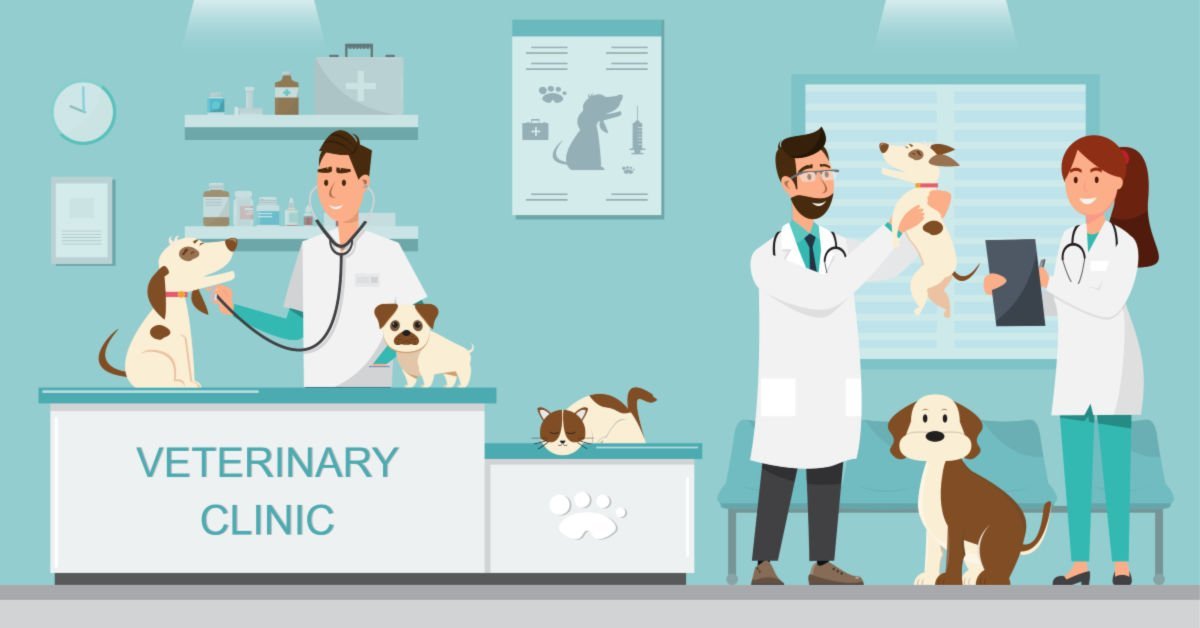 SEO For Veterinarians