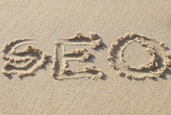 SEO Services in Florida: What Type of Services Can Help Your Business?