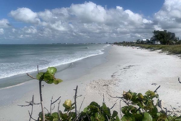 Florida Web Design Company