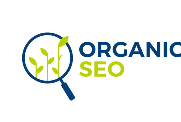 organic seo service