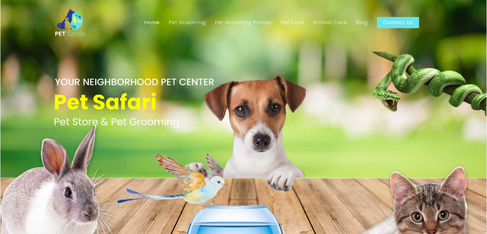 Pet Shop Web Design