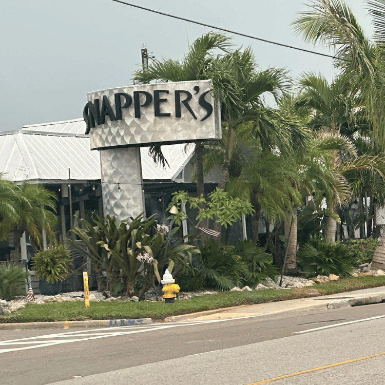 SEO service St. Pete Beach