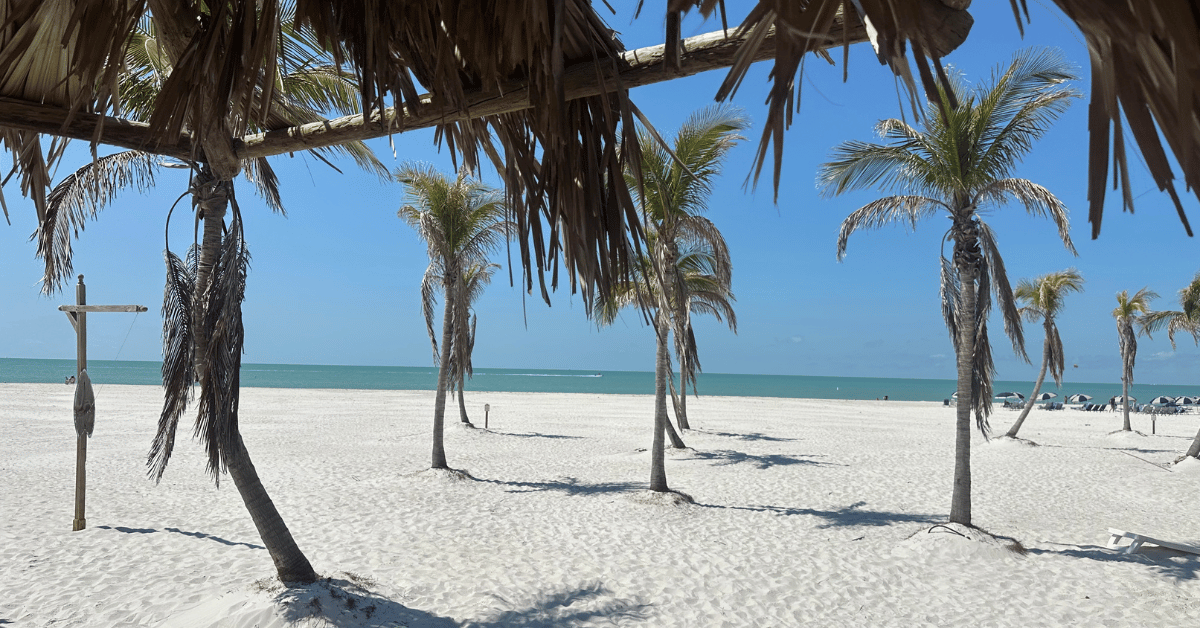 search engine optimization St Pete Beach